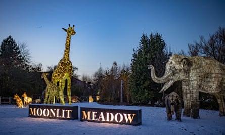 Giraffe and elepant at The Lanterns  at Chester Zoo