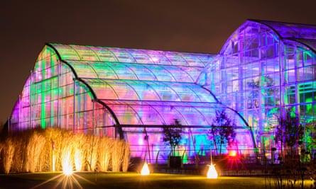 illuminations in the Glasshouse at RHS Garden Wisley CREDIT RHS and Andrew Cochrane