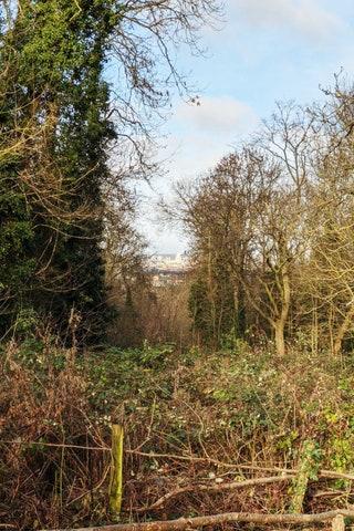 Walk all the way to the top and there's a helpfully situated bench to remind you to take a look through the trees  stand...