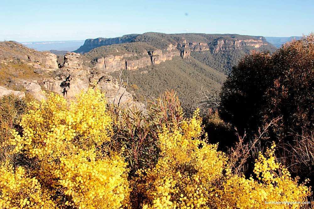 blue mountain 1 - Roteiro de 3 dias em Sydney (+ 1 dia de bate e volta para Blue Mountain)